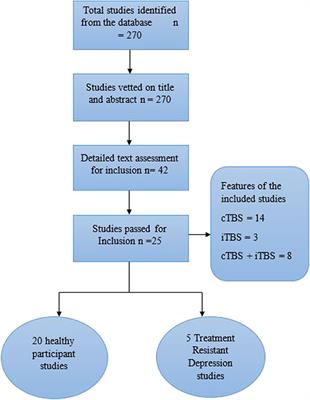 Assessing the Effects of Continuous Theta Burst Stimulation Over the Dorsolateral Prefrontal Cortex on Human Cognition: A Systematic Review